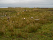 EHG4656_15.JPG