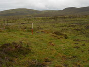 EHG4656_16.JPG
