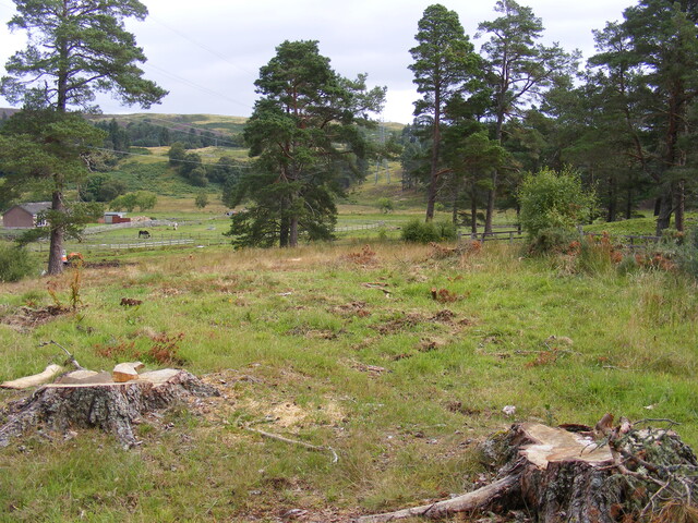 EHG4657_01.JPG