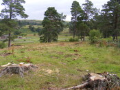 EHG4657_01.JPG