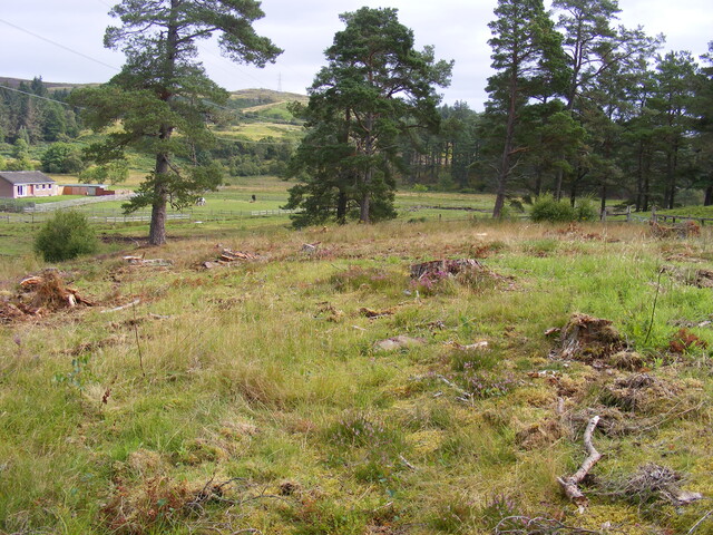 EHG4657_02.JPG