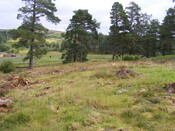 EHG4657_03.JPG