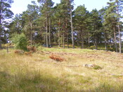 EHG4657_04.JPG