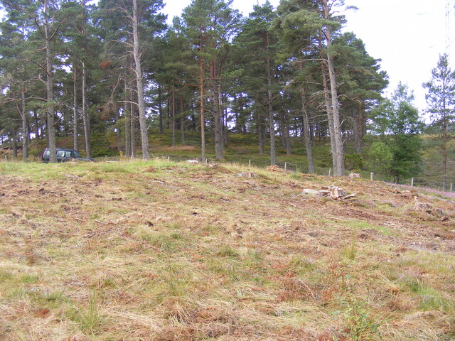 EHG4657_05.JPG