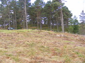 EHG4657_05.JPG
