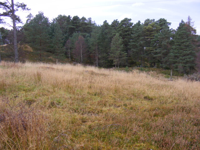 EHG4657_06.JPG