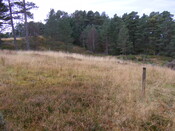 EHG4657_07.JPG