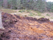 EHG4657_12.JPG
