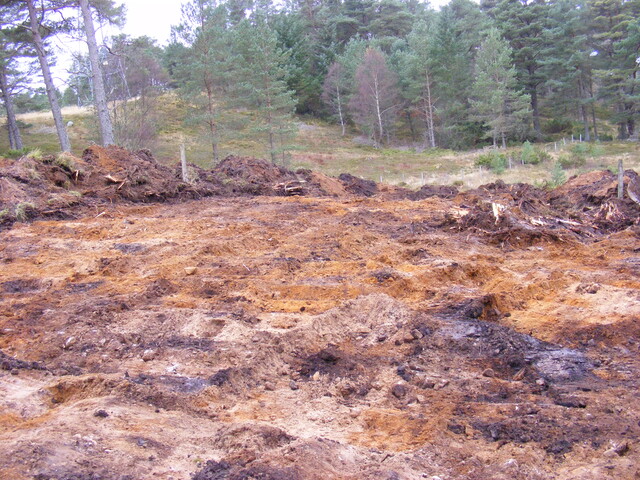 EHG4657_15.JPG