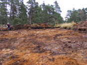 EHG4657_16.JPG
