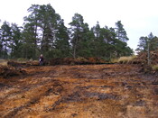 EHG4657_17.JPG