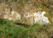 Kilcoy6 - site 23.JPG