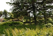 EHG4695_6. looking S.jpg