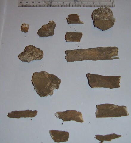 SHG26919_2.jpg