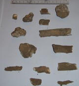 SHG26919_2.jpg