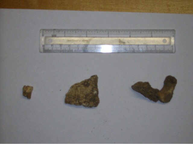 SHG26919_3.jpg