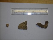SHG26919_3.jpg