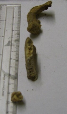 SHG26919_4.jpg