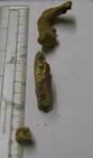 SHG26919_4.jpg