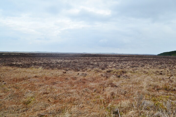 EHG4698_01.JPG