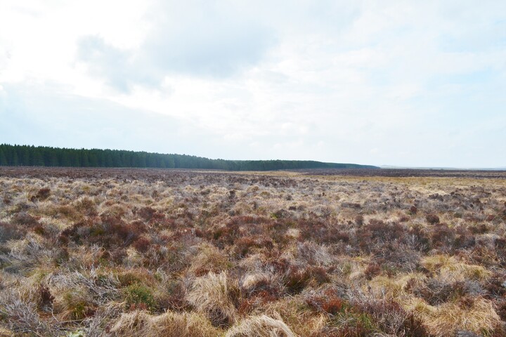 EHG4698_02.JPG
