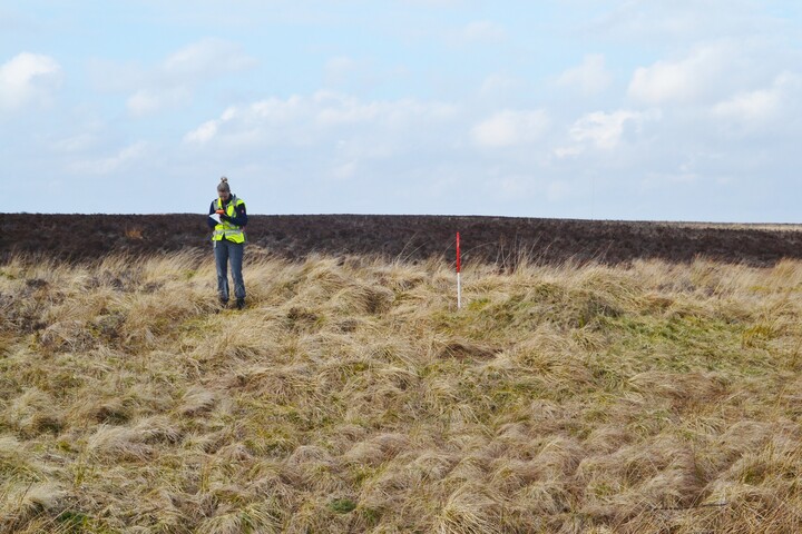 EHG4698_04.JPG