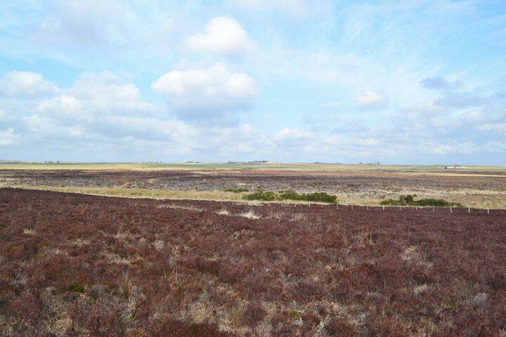 EHG4698_05.JPG