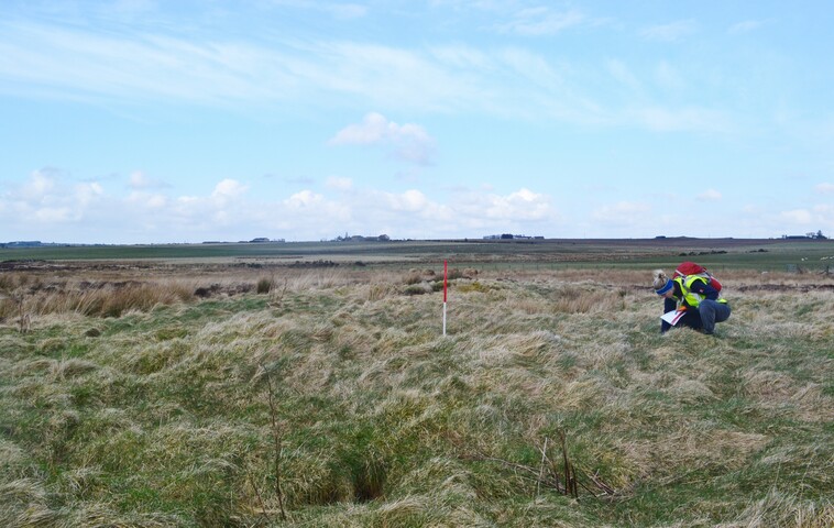 EHG4698_06.JPG