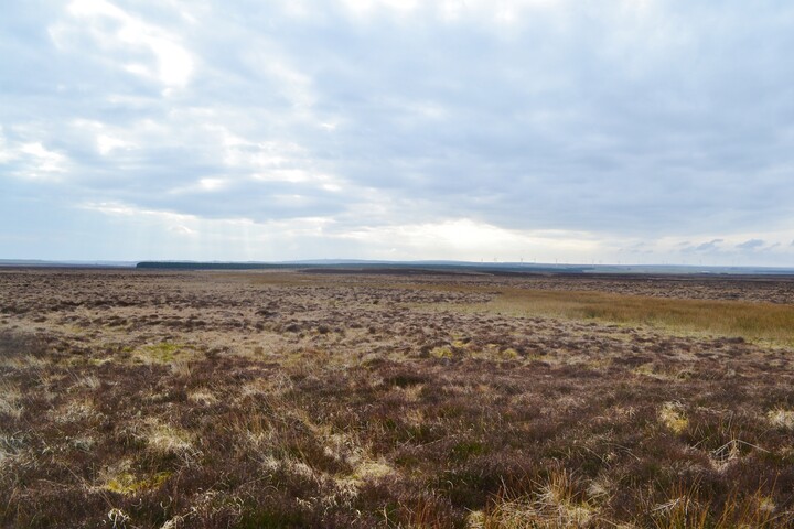 EHG4698_08.JPG