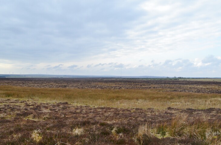 EHG4698_10.JPG