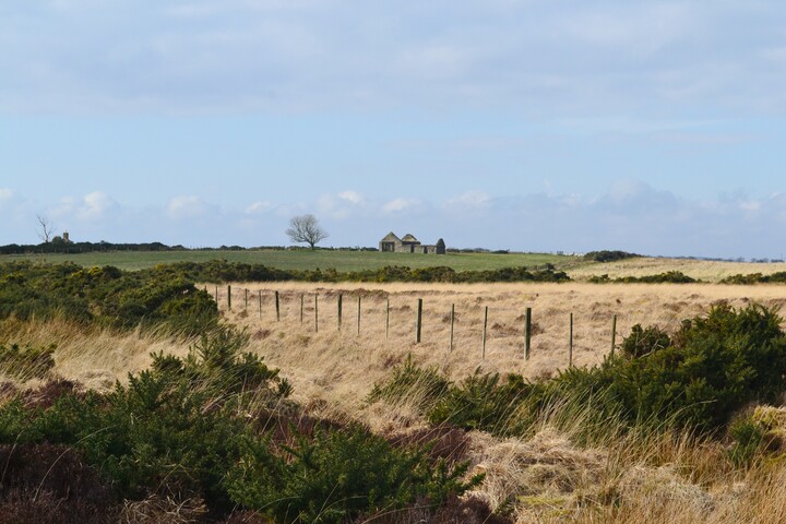 EHG4698_11.JPG