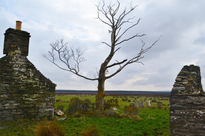 EHG4698_30.JPG