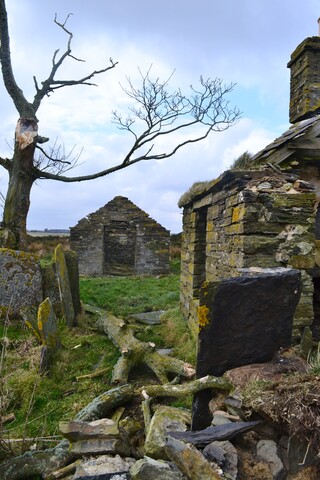 EHG4698_36.JPG