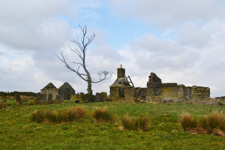 EHG4698_37.JPG