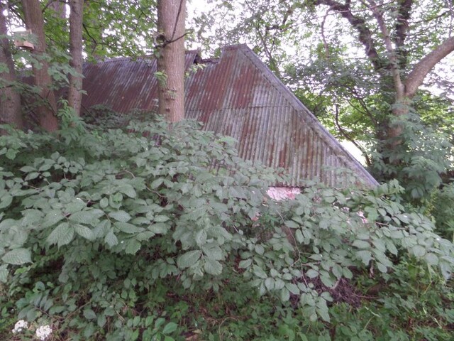 MHG3076_01.JPG