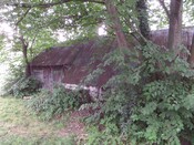 MHG3076_02.JPG