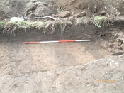 EHG4705_KIF_2602.JPG