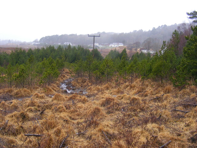 EHG4343_1.JPG