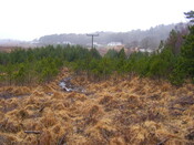 EHG4343_1.JPG