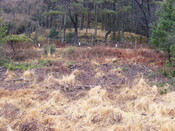 EHG4343_4.JPG