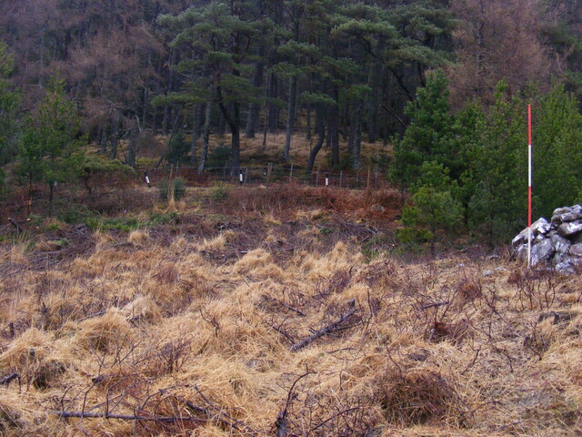 EHG4343_5.JPG