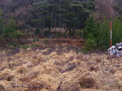 EHG4343_5.JPG