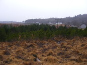 EHG4343_7.JPG