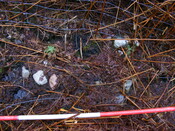 EHG4343_9.JPG