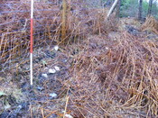 EHG4343_10.JPG