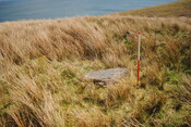 EHG4675_06.JPG