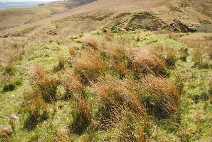 EHG4675_07.JPG