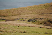 EHG4675_10.JPG