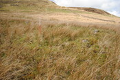 EHG4675_14.JPG