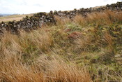 EHG4675_15.JPG